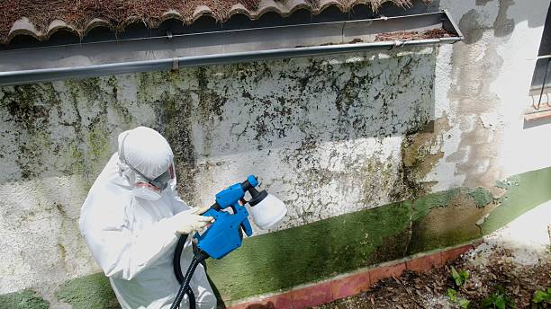Top rated local Mold Testing specialists in Thomasville, PA